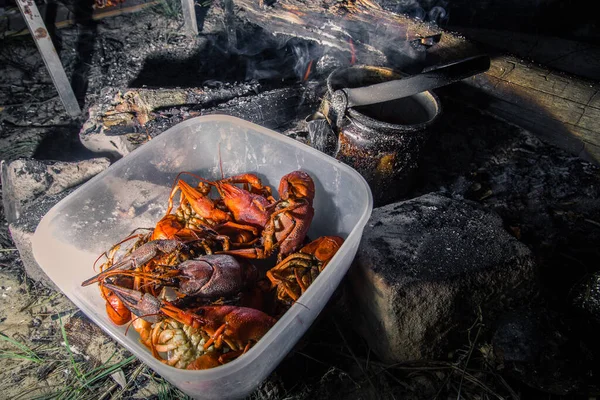 Готовить Камина Раки Мясо — стоковое фото