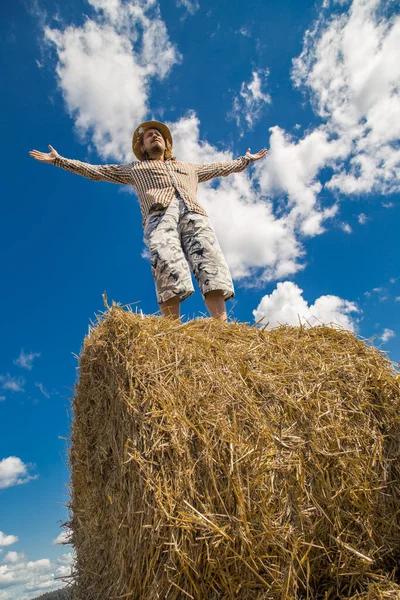 Kovboy şapkalı, buğday ekmekli, sakallı genç bir adam.