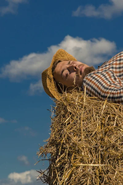 Giovane Uomo Barbuto Cappello Cowboy Con Rotolo Grano — Foto Stock