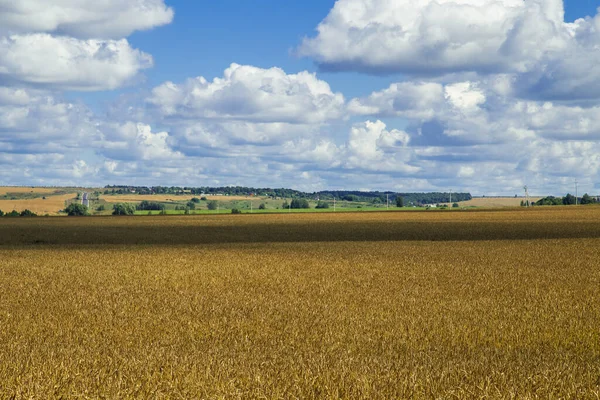 Hey tarlada yuvarlanan