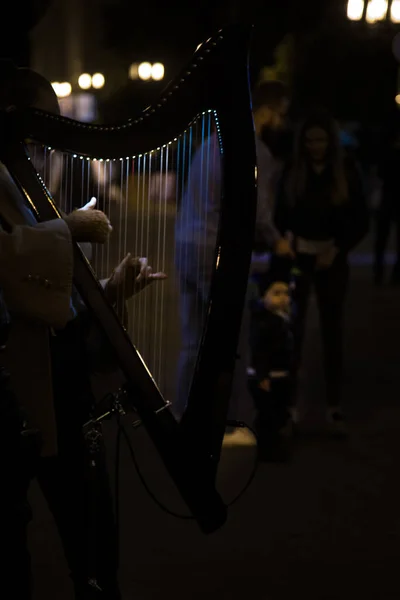 Harpe Spiller Natten Gaden - Stock-foto