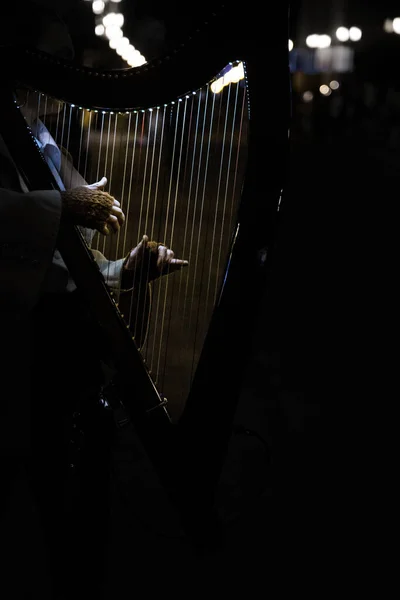 Geceleyin sokakta bir arpçı.