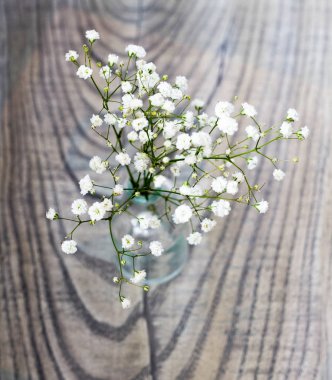 Farklı Züccaciye Mağazaları - vintage tarzı backgro benzersiz natürmort