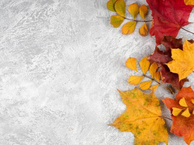 Sonbahar yaprakları kopya alanı ile siyah arka plan üzerinde arka plan sonbahar yaprakları