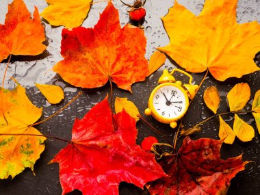 saati yapraklar zamanla değiştirmek, çalar saat renkli sonbahar yaprakları.
