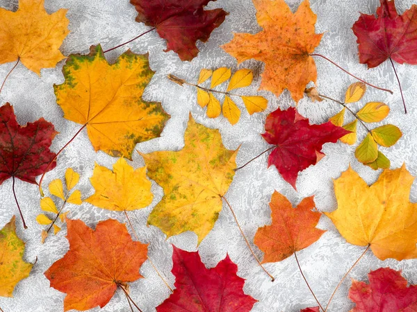 Herbstblätter Über Schwarzem Hintergrund Mit Kopierraum Abstrakter Hintergrund Von Herbstblättern — Stockfoto