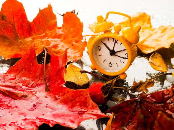 Uhr Mit Blättern Zeitumstellung Wecker Bunten Herbstblättern — Stockfoto