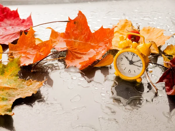 Uhr Mit Blättern Zeitumstellung Wecker Bunten Herbstblättern — Stockfoto