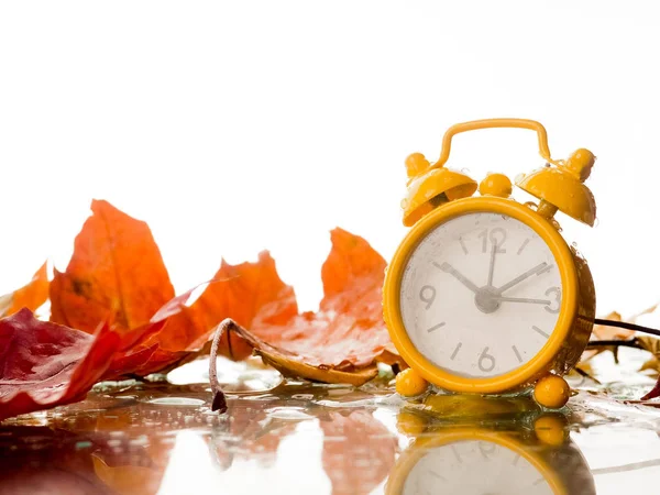 clock with leaves time change, Alarm clock in colorful autumn leaves.