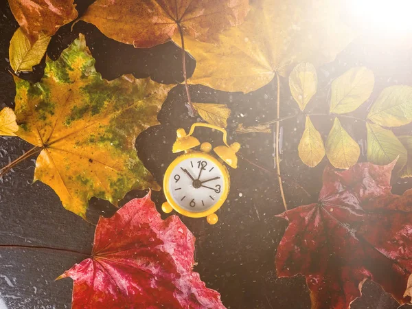 Horloge Avec Feuilles Changement Heure Réveil Feuilles Automne Colorées — Photo