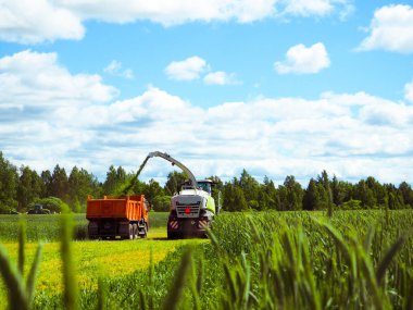 Birleştirme hasat silaj için temizlik Tarım makineleri.