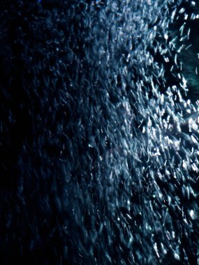 su kabarcıkları ile Soyut, sıçrama siyah arka plan üzerine su.