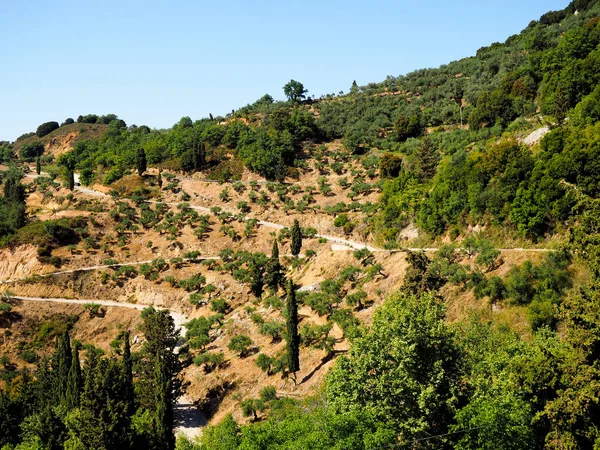 Zomer Berg Piek Groene Heuvelachtige Landschap Van Het Reizen Naar — Stockfoto