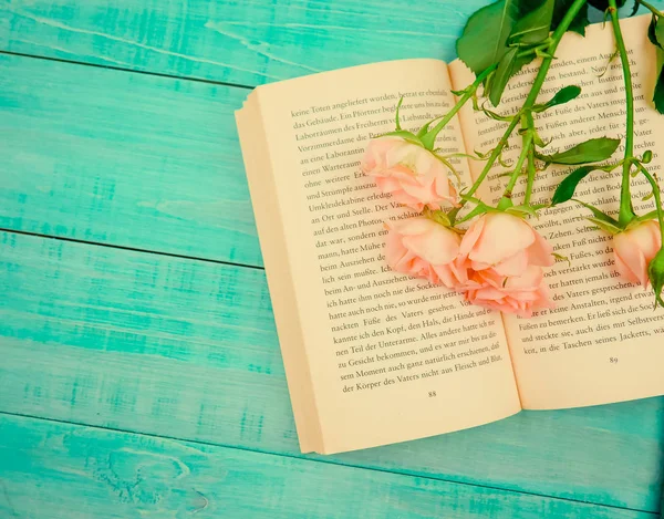 Almanca kitap romanı açık, üzerinde nazik güller, okuma, romantizm kavramı.