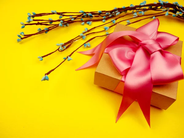 Leuk Ingerichte Gift Set Gift Met Roze Lint Authentieke Witte — Stockfoto