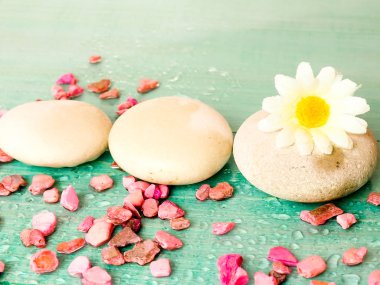 Taş, çakıl satırlarla kaplıca tedavisi ve istirahat kavram olarak kaplı su damlaları bir yeşil zemin üzerine Masaj.