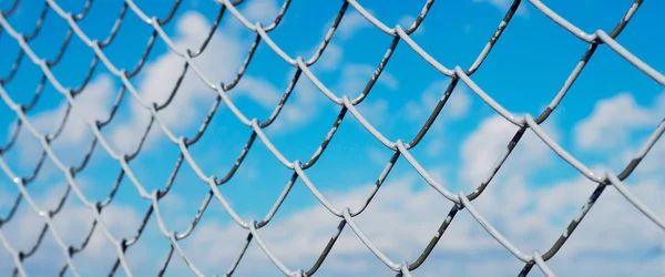 A fence made of wire mesh, netting covered with white on the background of blue sky and sunshine