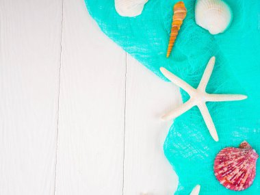 deniz kabuklarını, deniz taşları deniz kavramı, tatil, uzay, düz yatıyordu kopyalama