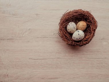 bıldırcın yumurtası karanlık eski ahşap arka plan üzerinde ahşap plaka.