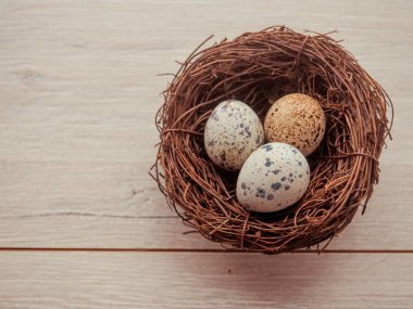 bıldırcın yumurtası karanlık eski ahşap arka plan üzerinde ahşap plaka.