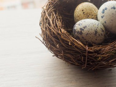 bıldırcın yumurtası karanlık eski ahşap arka plan üzerinde ahşap plaka.