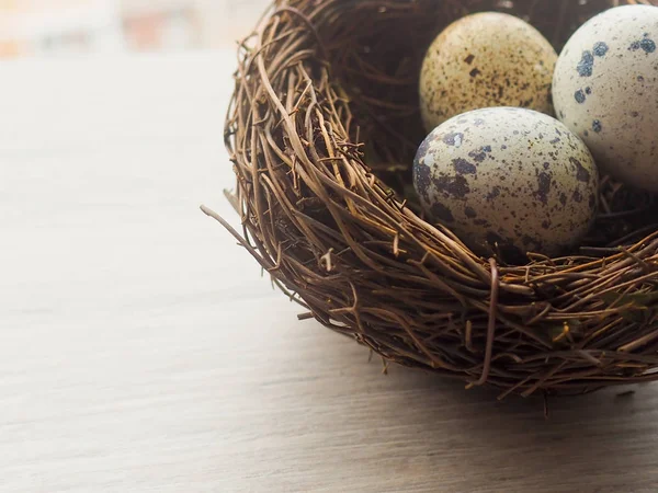 bıldırcın yumurtası karanlık eski ahşap arka plan üzerinde ahşap plaka.