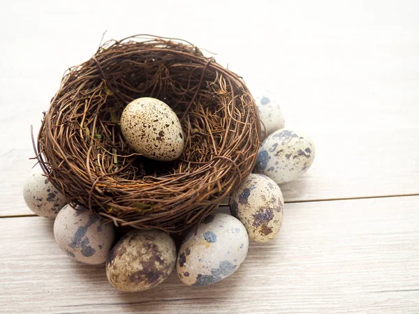 Quail Eggs Wooden Plate Dark Old Wooden Background — Stock Photo, Image