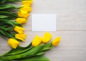 čerstvé žluté tulipány na dřevěné pozadí