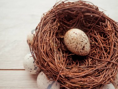 bıldırcın yumurtası ahşap arka plan Paskalya kavramı üzerinde bir yuva