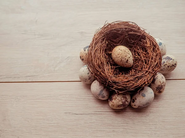 Ovos de codorna em um ninho em um conceito de páscoa de fundo de madeira — Fotografia de Stock