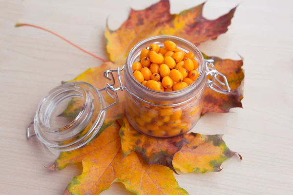 Frutos Mar Buckthorn Folhas Outono Medicina Alternativa Tratamento Outono — Fotografia de Stock