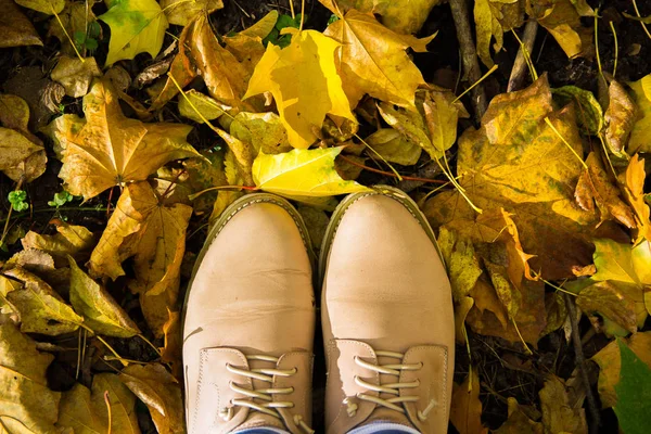 Jesienny sezon w hipster stylu buty, brązowe buty, widok z góry — Zdjęcie stockowe