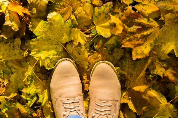 Jesienny sezon w hipster stylu buty, brązowe buty, widok z góry — Zdjęcie stockowe