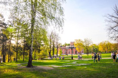 Çim görüntü arka planı için yumuşak ışık ile