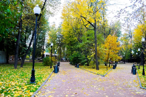 Kleurrijke bladeren in de herfst in het park — Stockfoto