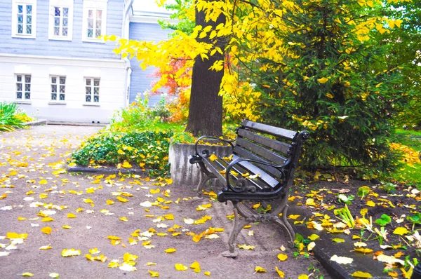 Barevné listí na podzim v parku — Stock fotografie