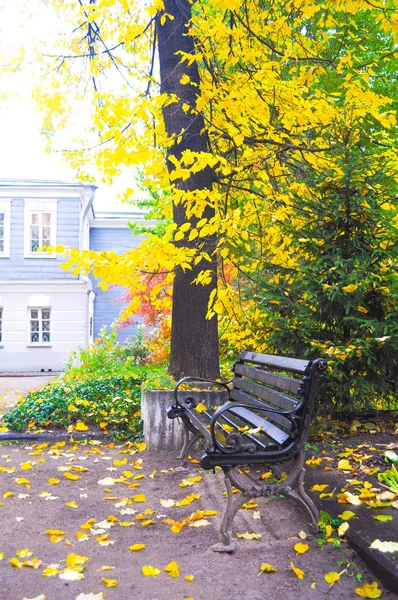 Barevné listí na podzim v parku — Stock fotografie