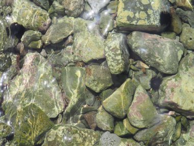 arka plan şeffaf deniz suyu ve alt