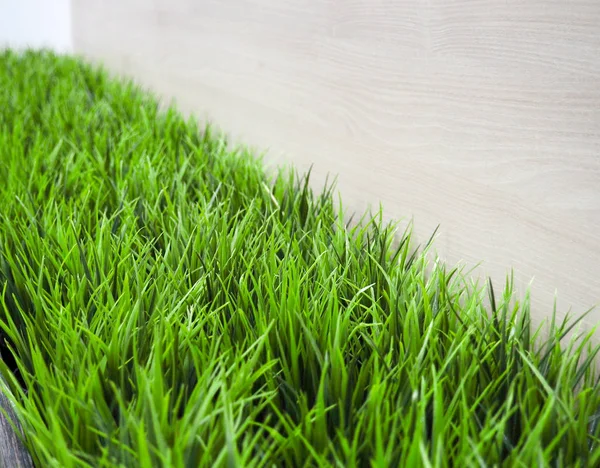 Fresca hierba verde primavera y planta de hojas sobre fondo valla de madera —  Fotos de Stock