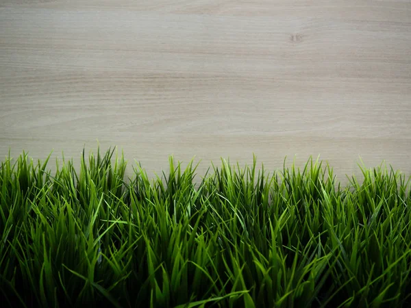 Fresca hierba verde primavera y planta de hojas sobre fondo valla de madera —  Fotos de Stock