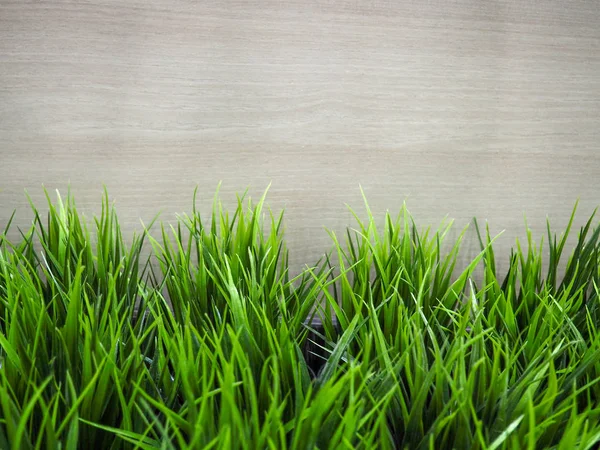 Friss tavasz zöld fű és levél növény felett fa kerítés háttér — Stock Fotó
