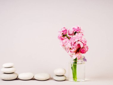 Zen taşlar ve çiçek, Harmony ve denge ile Spa hala hayat, 