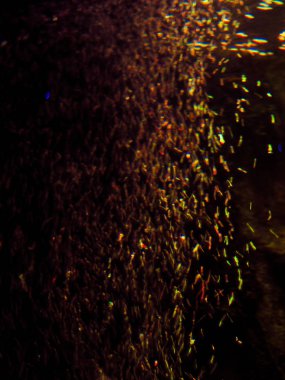 su kabarcıkları soyutlama, renkli hava kabarcıkları