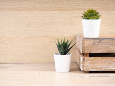 Fotokopi alanı ile bulanık ahşap masa ve ahşap duvar dokulu arka plan üzerinde beyaz plastik tencerede kaktüs Closeup grubu