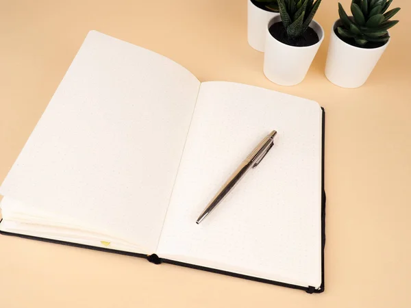Blanko-Notizbuch mit Stift und weißem Kaktustopf auf Holztisch. — Stockfoto