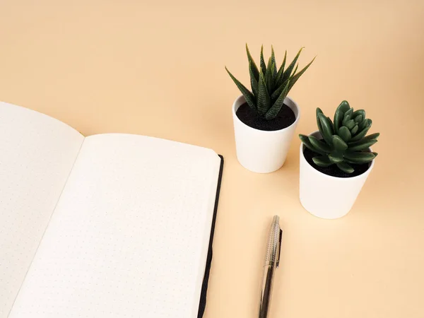 Tomma anteckningsbok med penna och vit kruka med kaktus på träbord. — Stockfoto