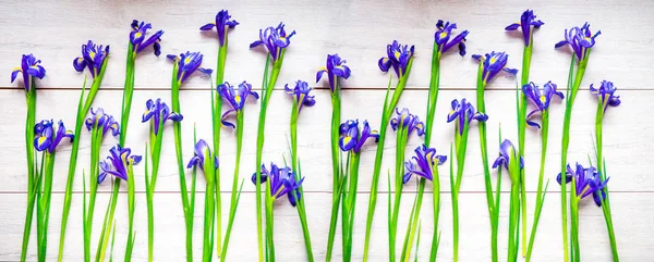Banner for website. Beautiful iris flowers on wooden background, holiday, greeting card, space for text