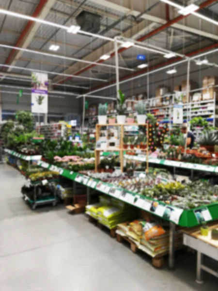 Rozmazané rostliny, stromy a květináče ve skleníku — Stock fotografie