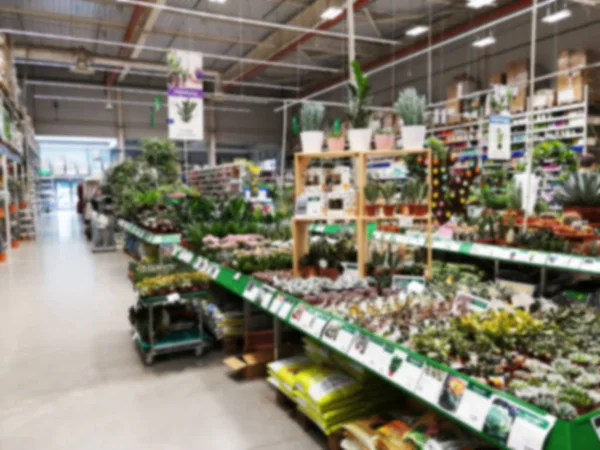 Blurred Plant,tree and flower pots in greenhouse — Stock Photo, Image