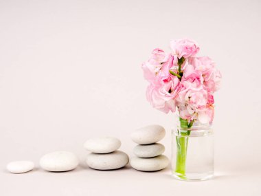 özlü, taşlar ve çiçek bir vazo içinde. denge ve sakin